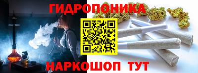 гидра Лесосибирск