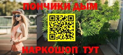 гидра Лесосибирск