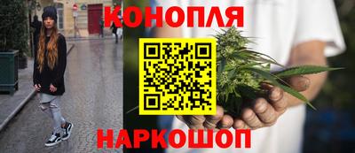 гидра Лесосибирск