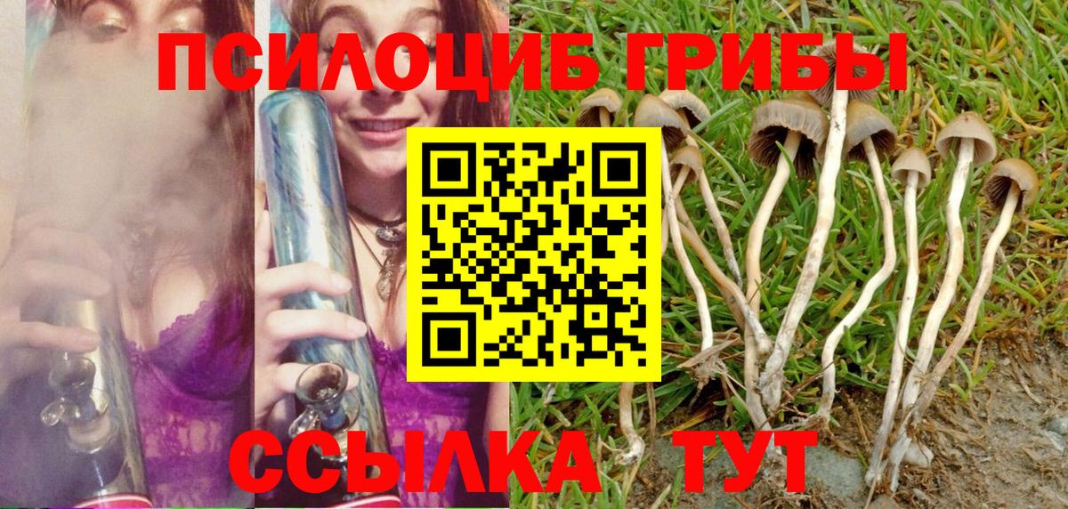 магазин    Вход с VPN  Ярцево  Псилоцибиновые грибы GOLDEN TEACHER 
