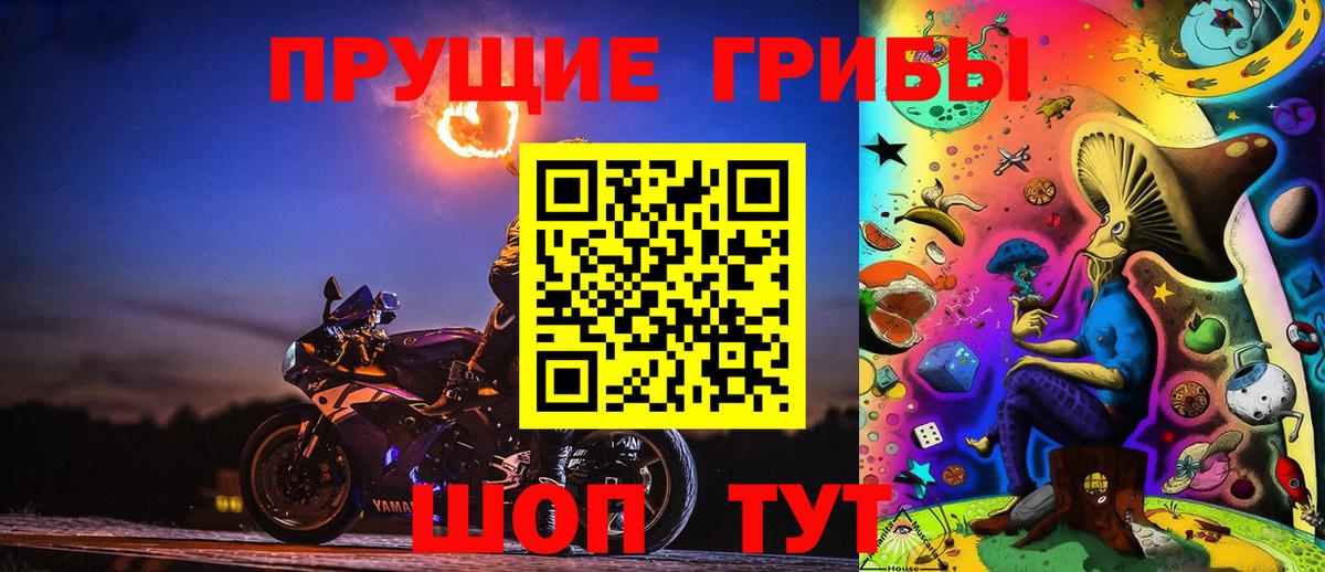 Галлюциногенные грибы Psilocybe Ярцево